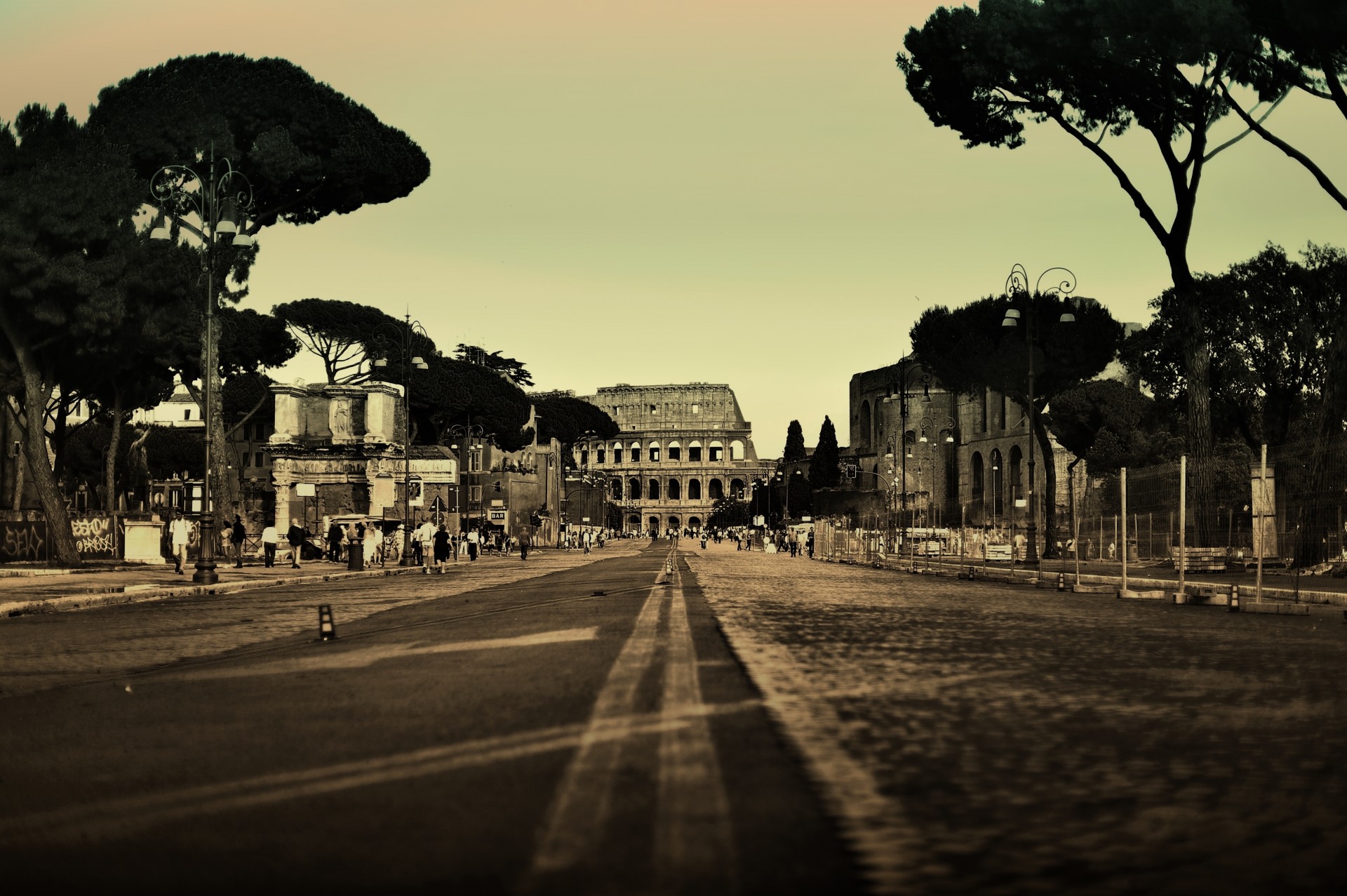 italy street tree town rome road coliseum people