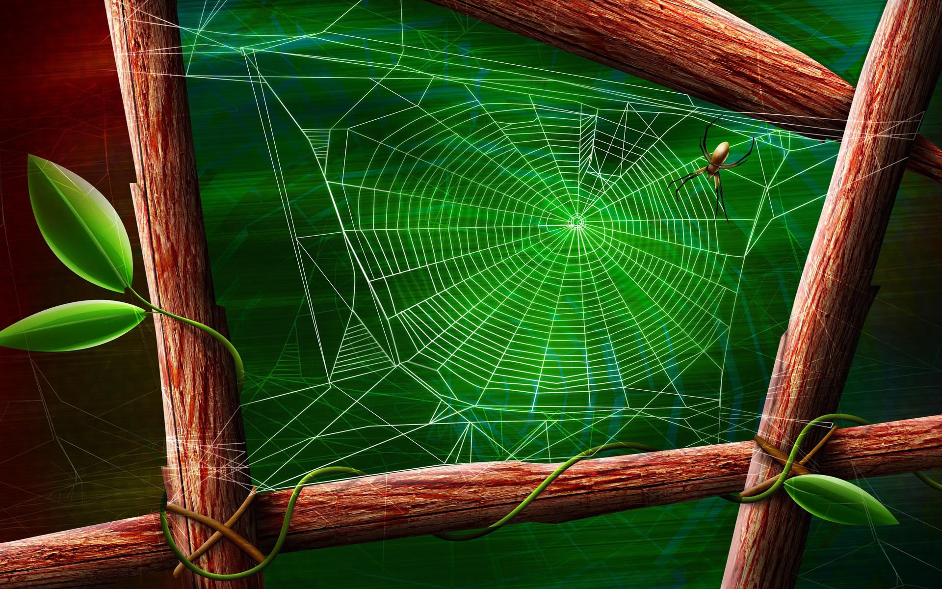 web spider green sheet