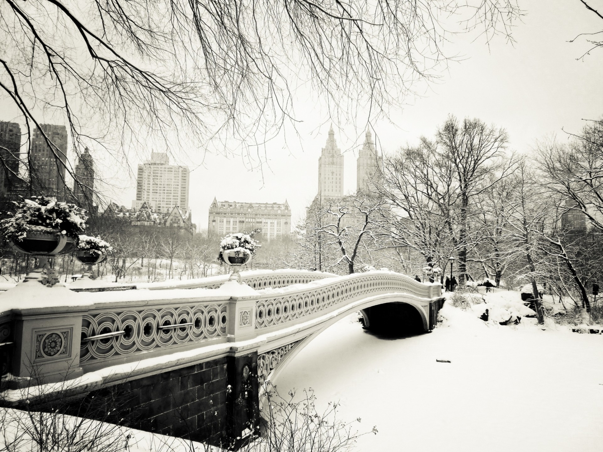 natura nowy jork zima drzewa miasto śnieg usa central park