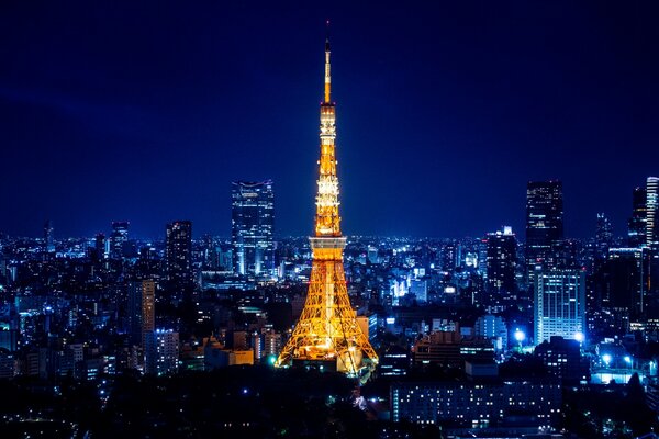 Hermosa vista de la torre de Tokio