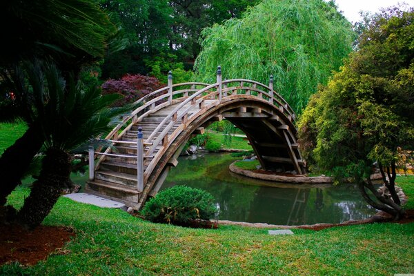 Japanischer Garten mit Moos über den Teich