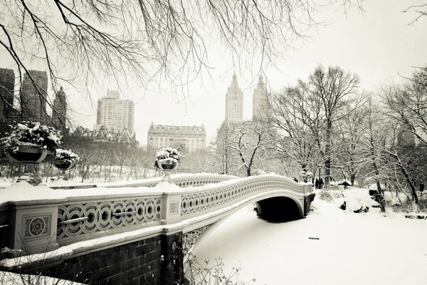 Verschneite New York City im letzten Winter