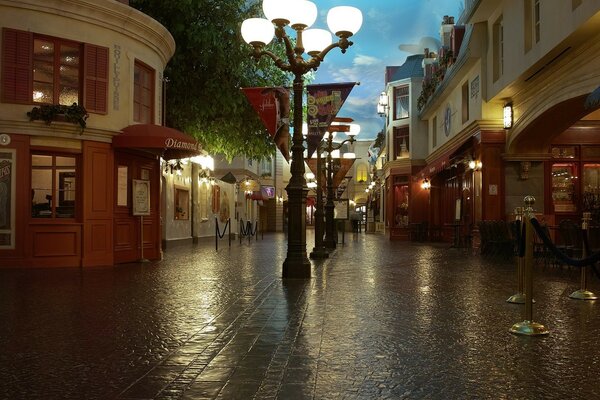 Street of the night city after the rain