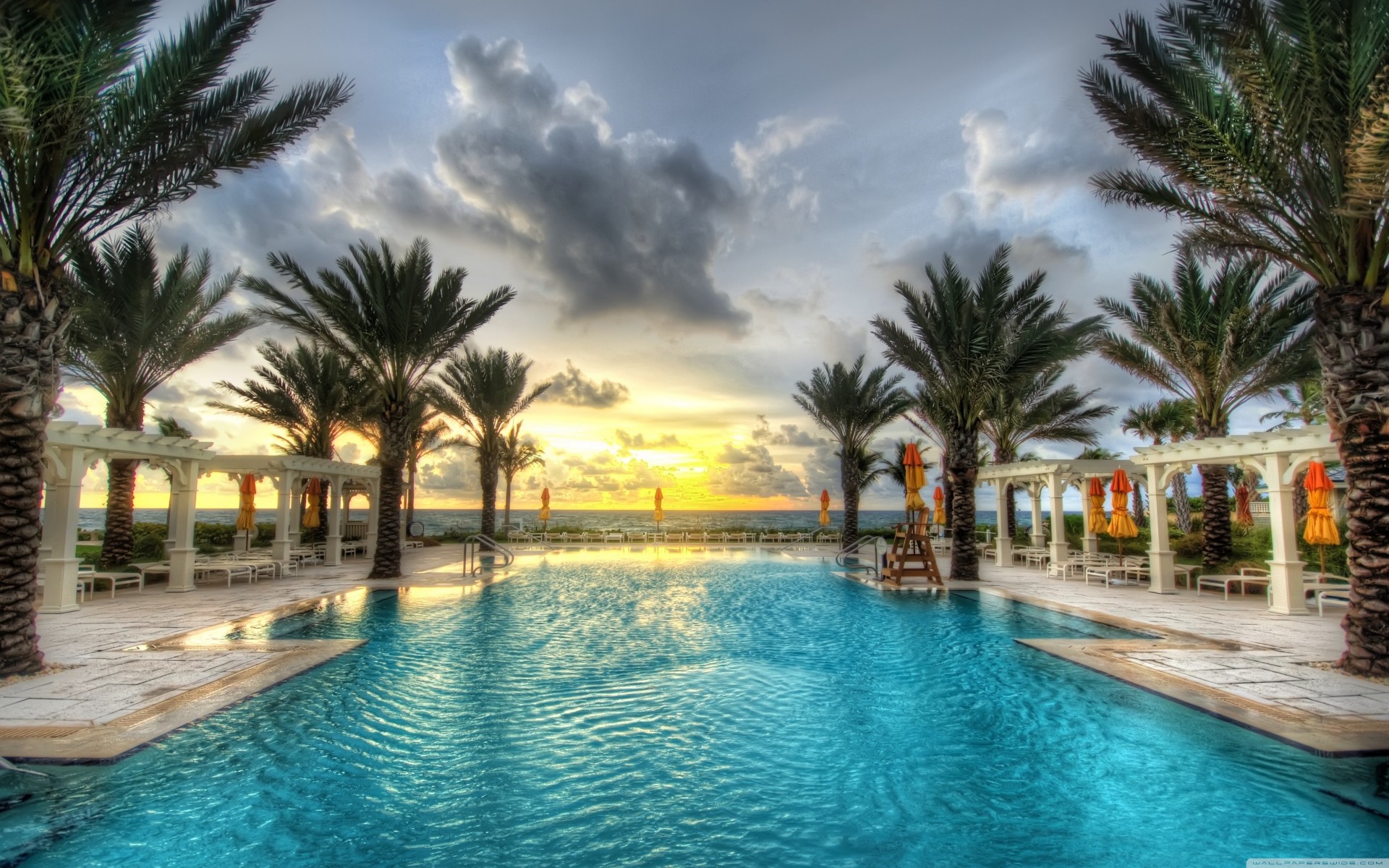 tropicale piscina palme acqua lussuoso