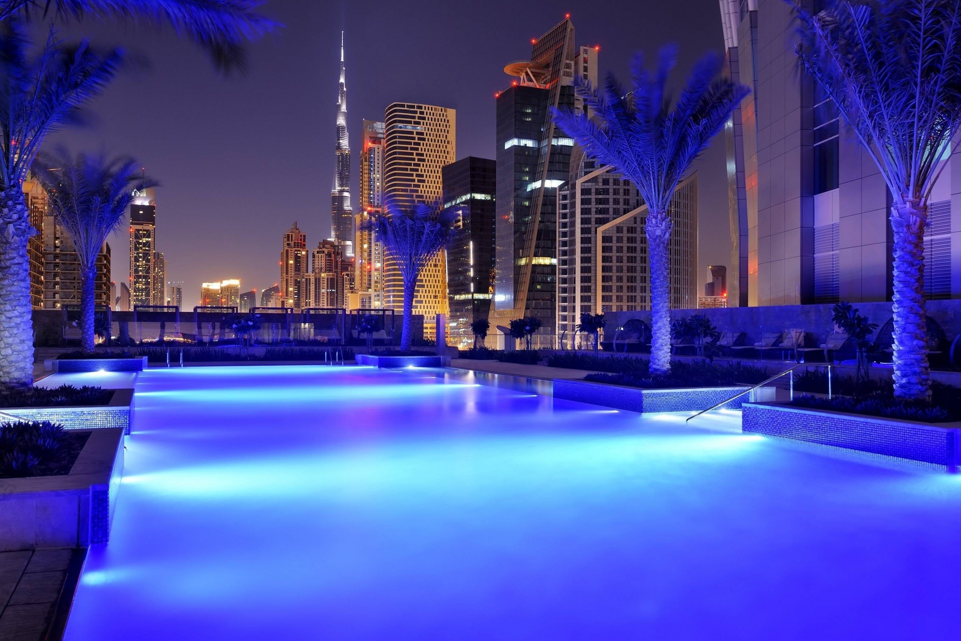 dubaï marriott transats arbres palmiers. ville nuit piscine hôtel naght maison