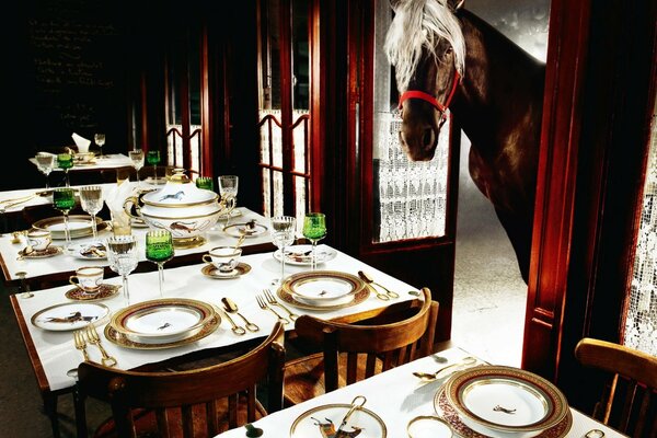 Il cavallo guardò nella sala del ristorante