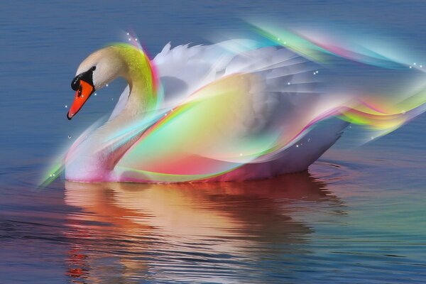 Reflection of multicolored rays on the wings