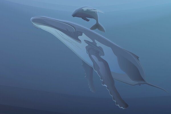 Whales mother and child drawing