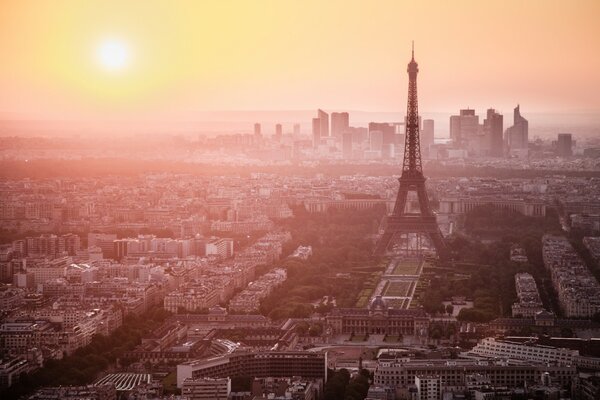 Morning in the central park of Paris