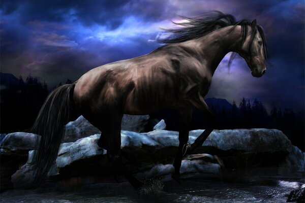 Beautiful horse by the stream at night