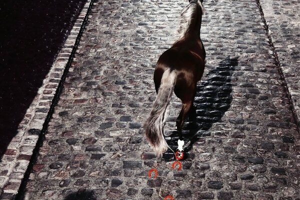 Cavallo con Ferri di cavallo rossi