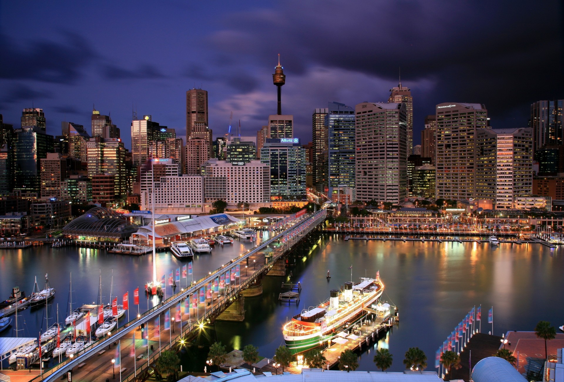 the port sydney street tree australia road . night the pair cities bridge town house