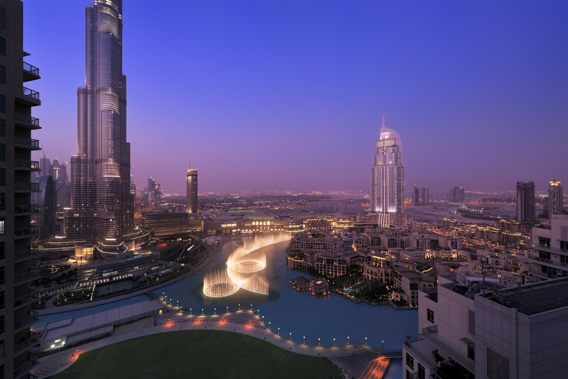 dubai tree night view. naght town house