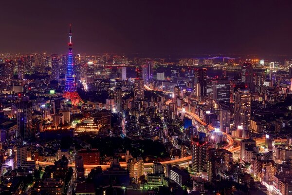 Tokyo Tower e grattacieli del Giappone nelle luci della sera