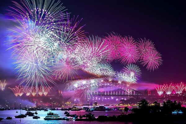 Fuochi d artificio luminosi per una meravigliosa vacanza