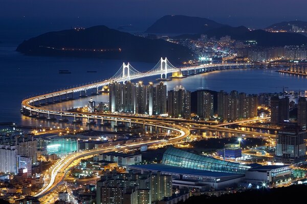 Die berühmte Brücke in der koreanischen Stadt Busan. Nacht und helle Lichter