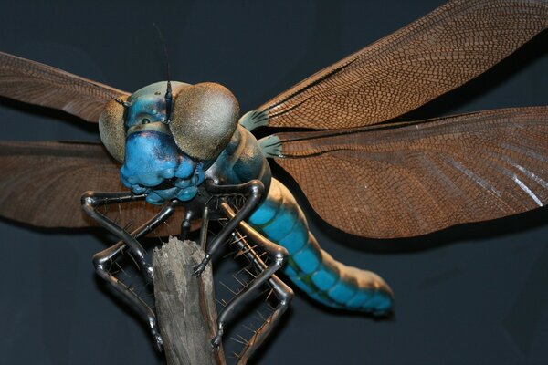 A dragonfly sitting on a branch and spreading its wings