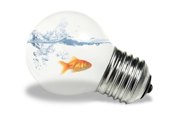 Goldfish inside the aquarium in the form of a light bulb