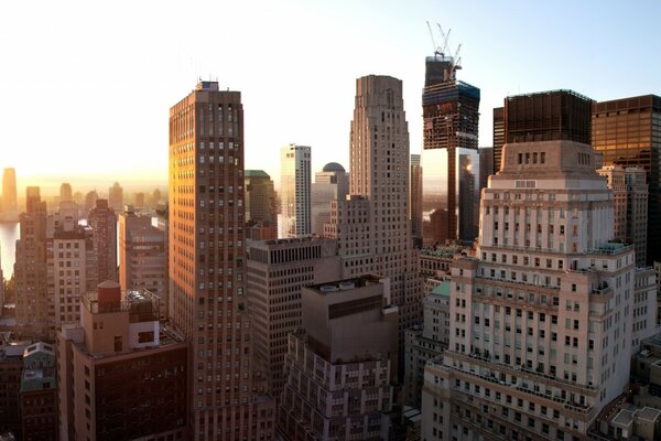 View of skyscrapers in New York at sunset