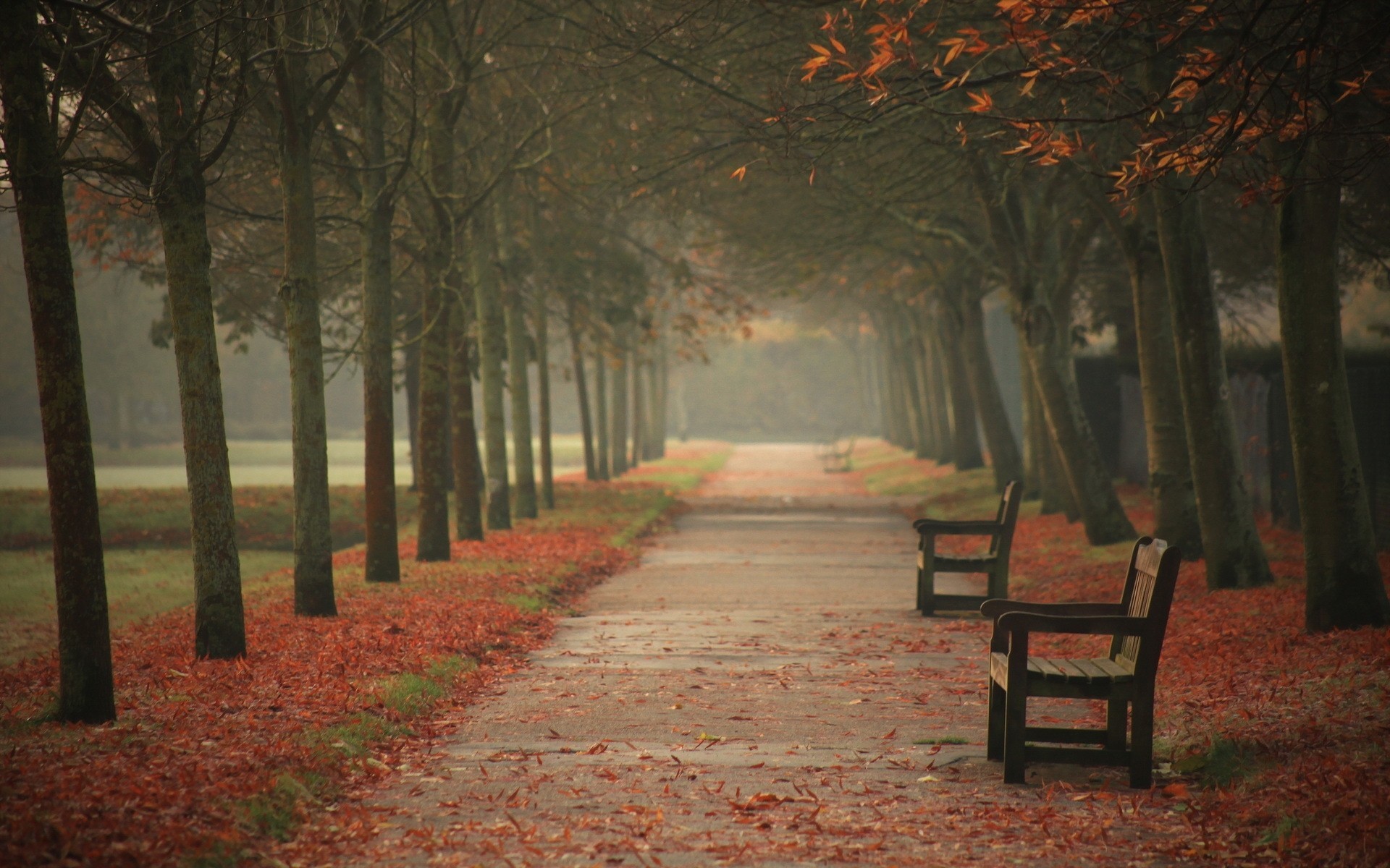 automne rue ville