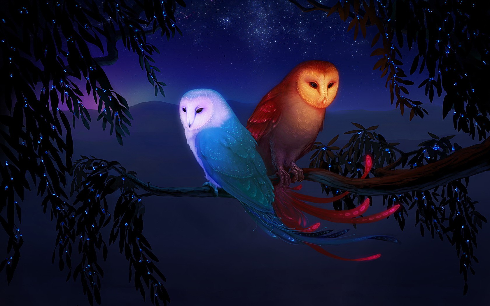 fantasy birds owl poems fire water mountain star tree branch