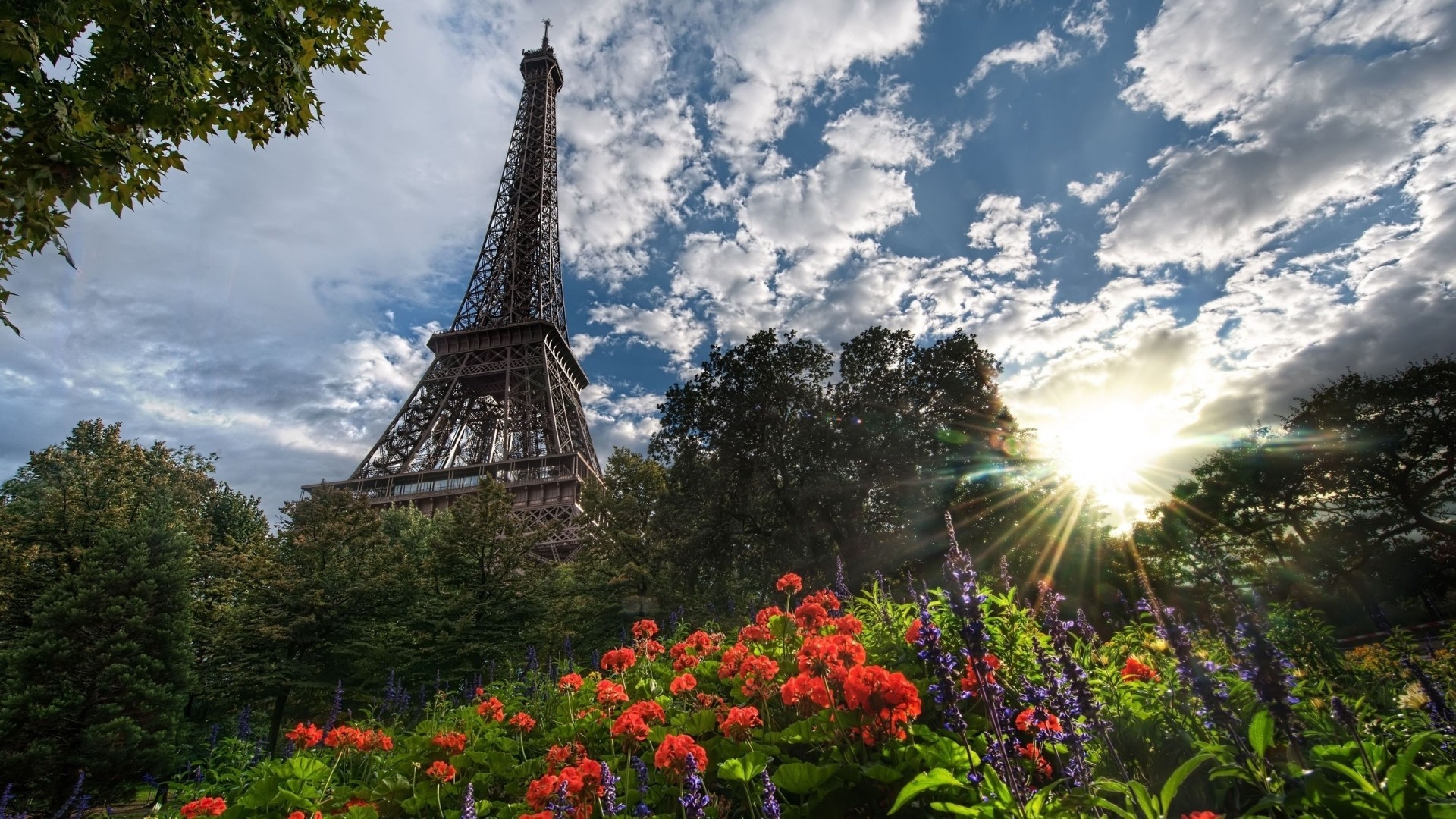 nature eiffel tower cloud paris flower tree town