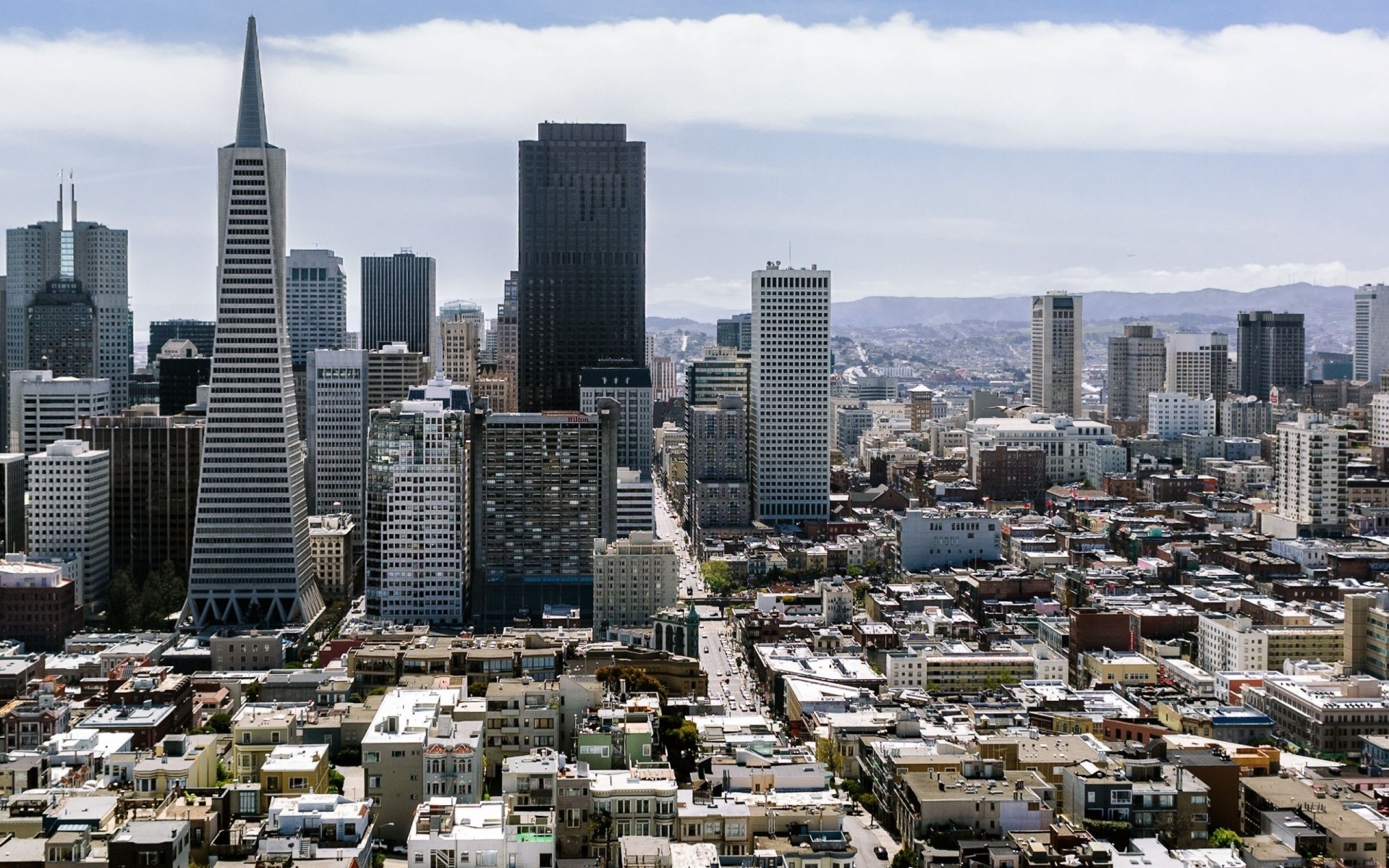 an francisco skyscraper panorama top view