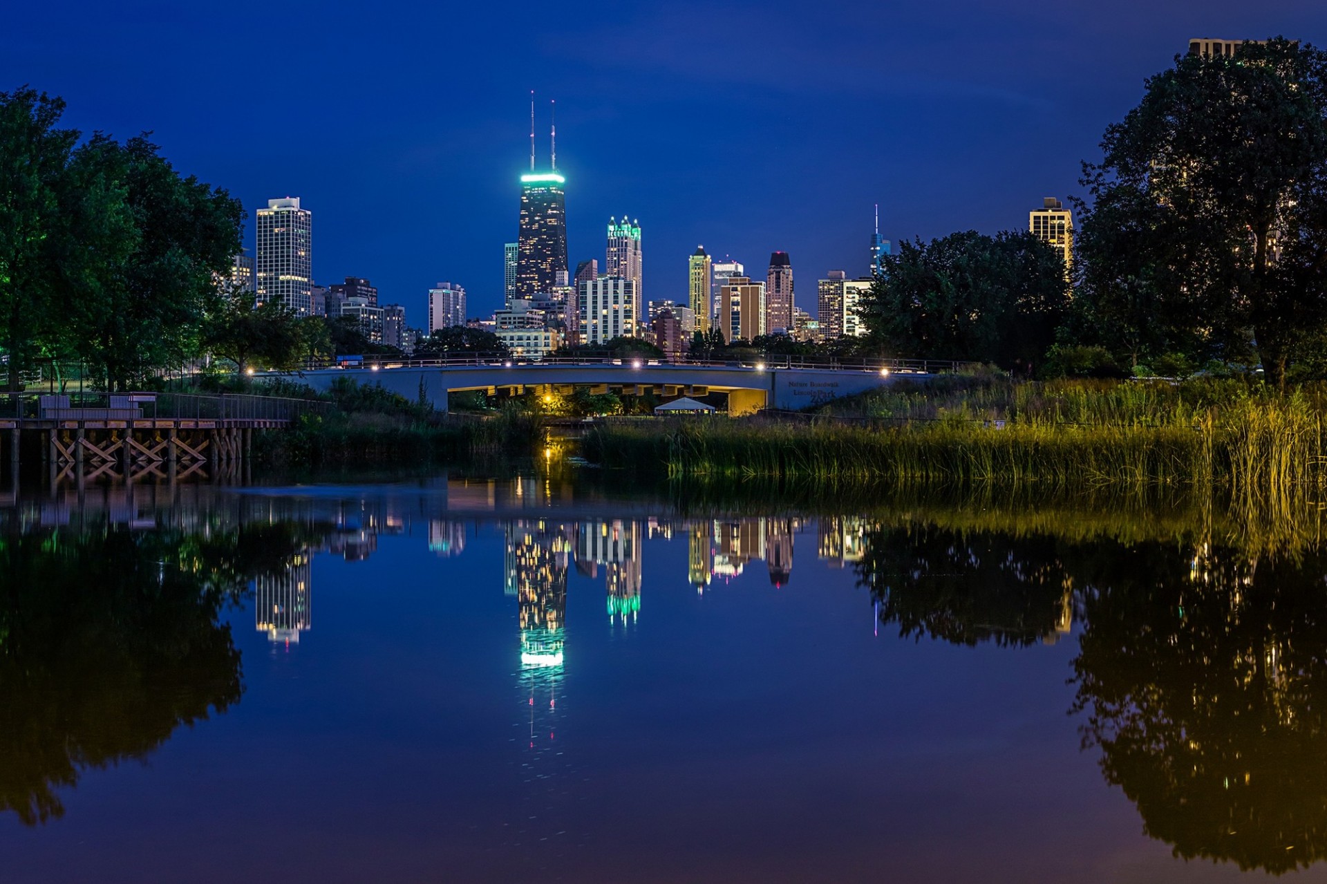 chicago stadt nacht bäume reflexion usa teich wolkenkratzer illinois wasser park landschaft llinois brücke lincoln park häuser