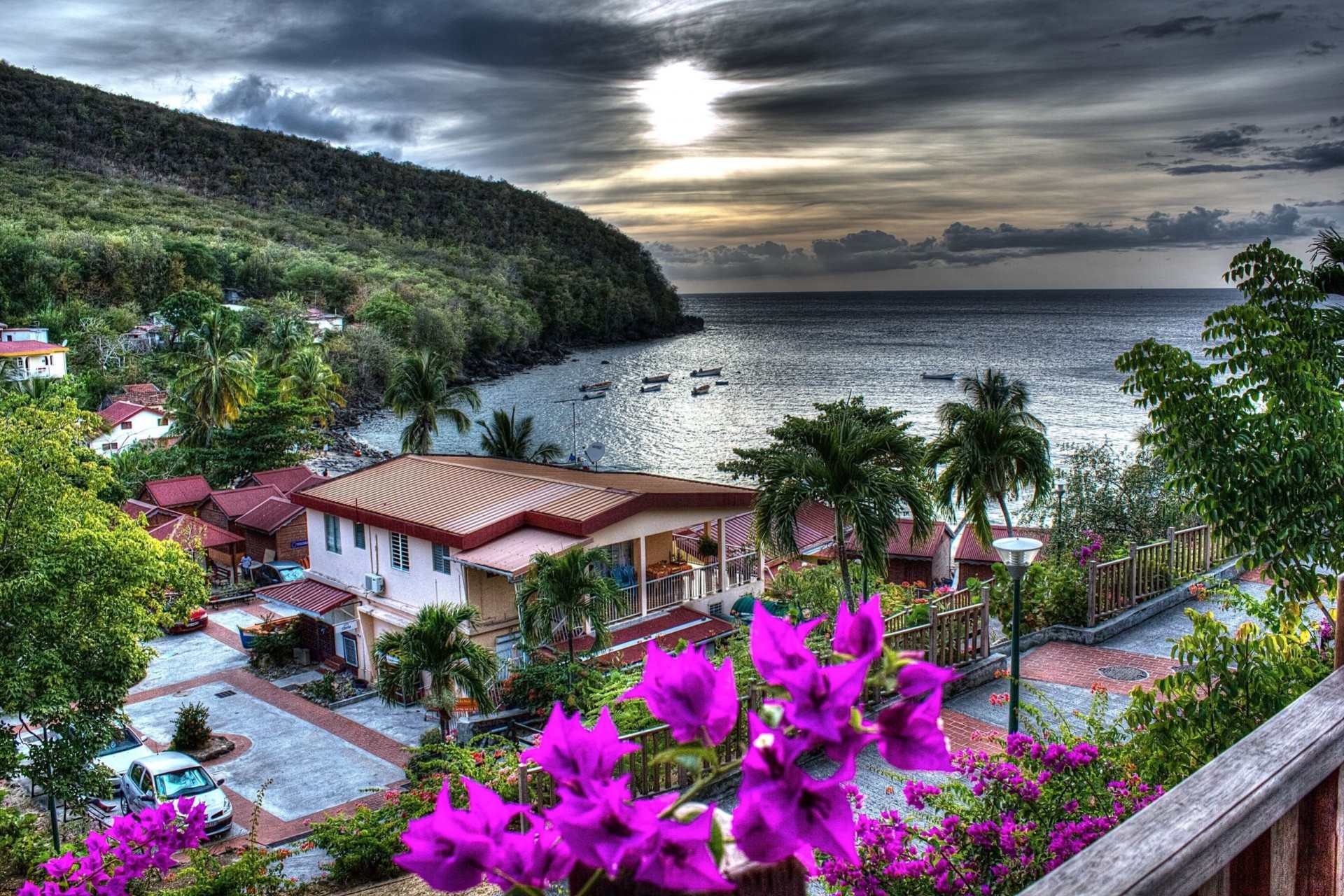 caribbean sea palm trees coast tropics courtyard bay house