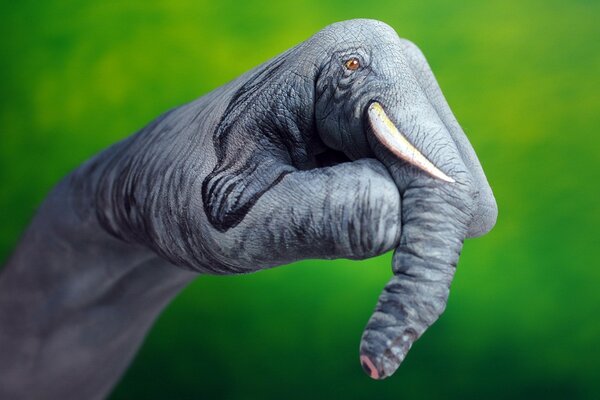 A hand with a painted elephant on a green background