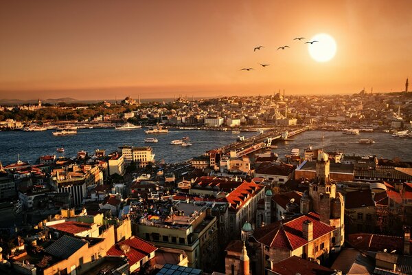 Buildings of Istanbul top view