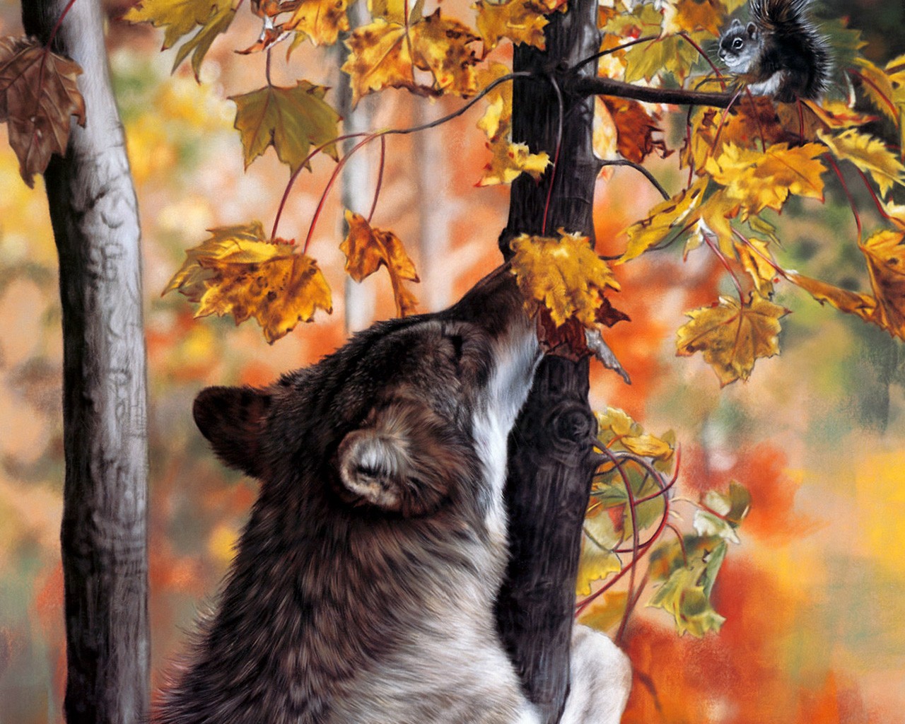 wolf autumn forest