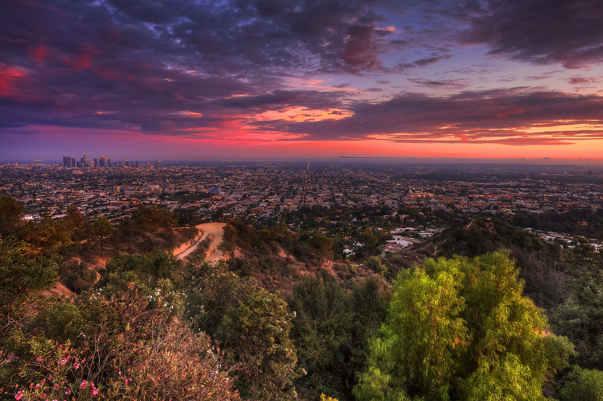 paesaggio tramonto los angeles alberi città vista dall alto