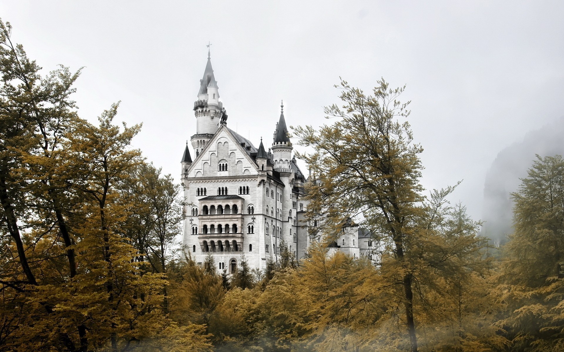 castello neuschwanstein legno baviera grigio ristrutturazione città