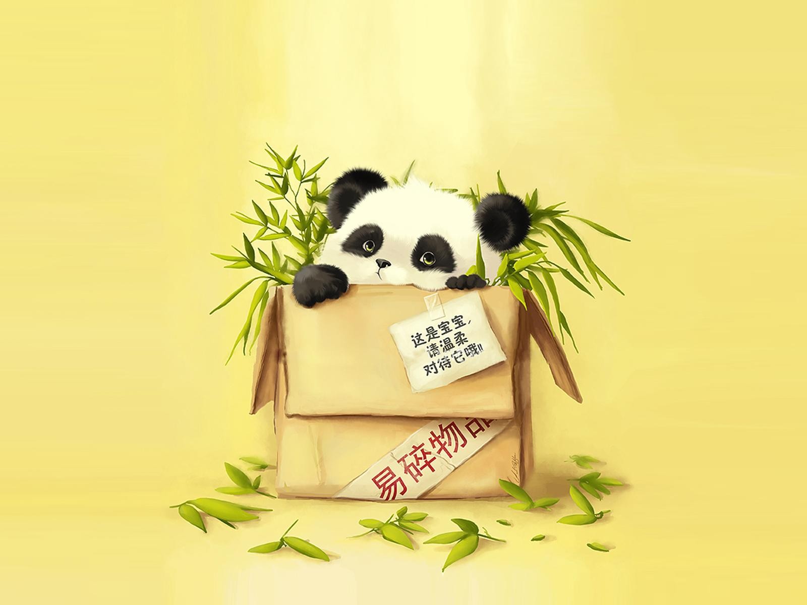 paket panda bambus