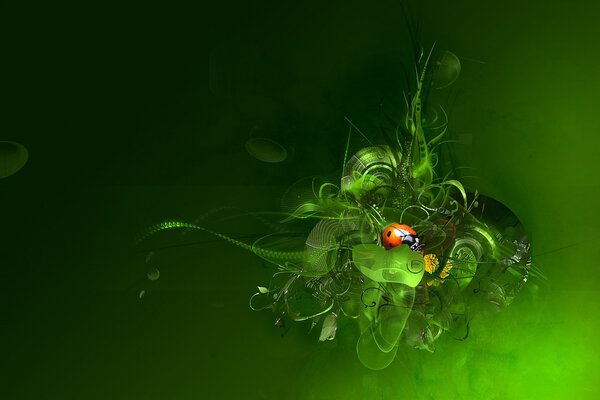 Coccinelle sur fond vert