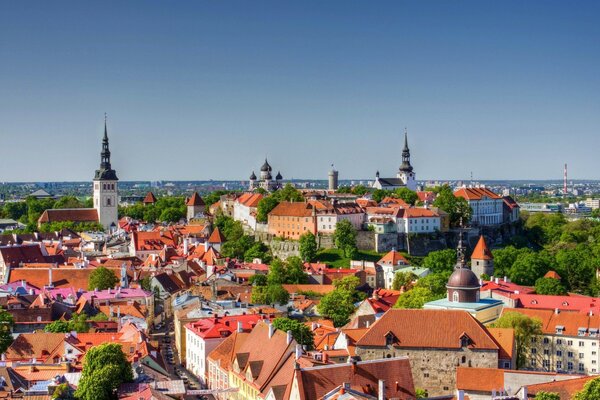 Panorama der Altstadt von Tallinn