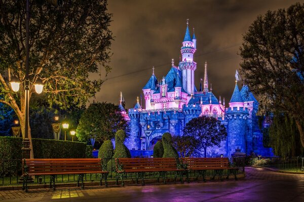 Disneyland lumineux lumineux sur fond de bancs