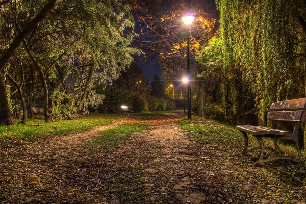 Bancs dans le parc de la ville