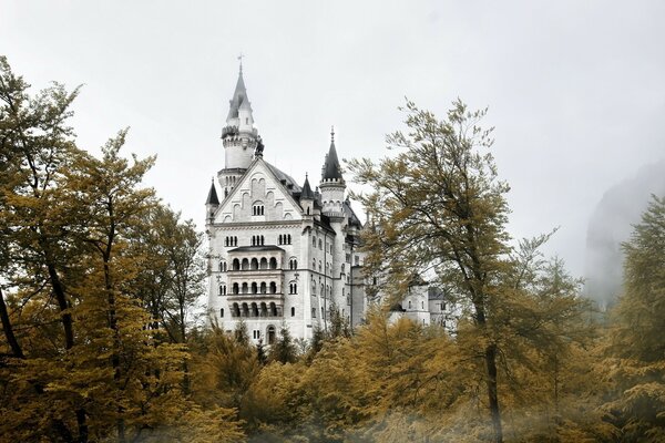 Château Vintage dans la forêt