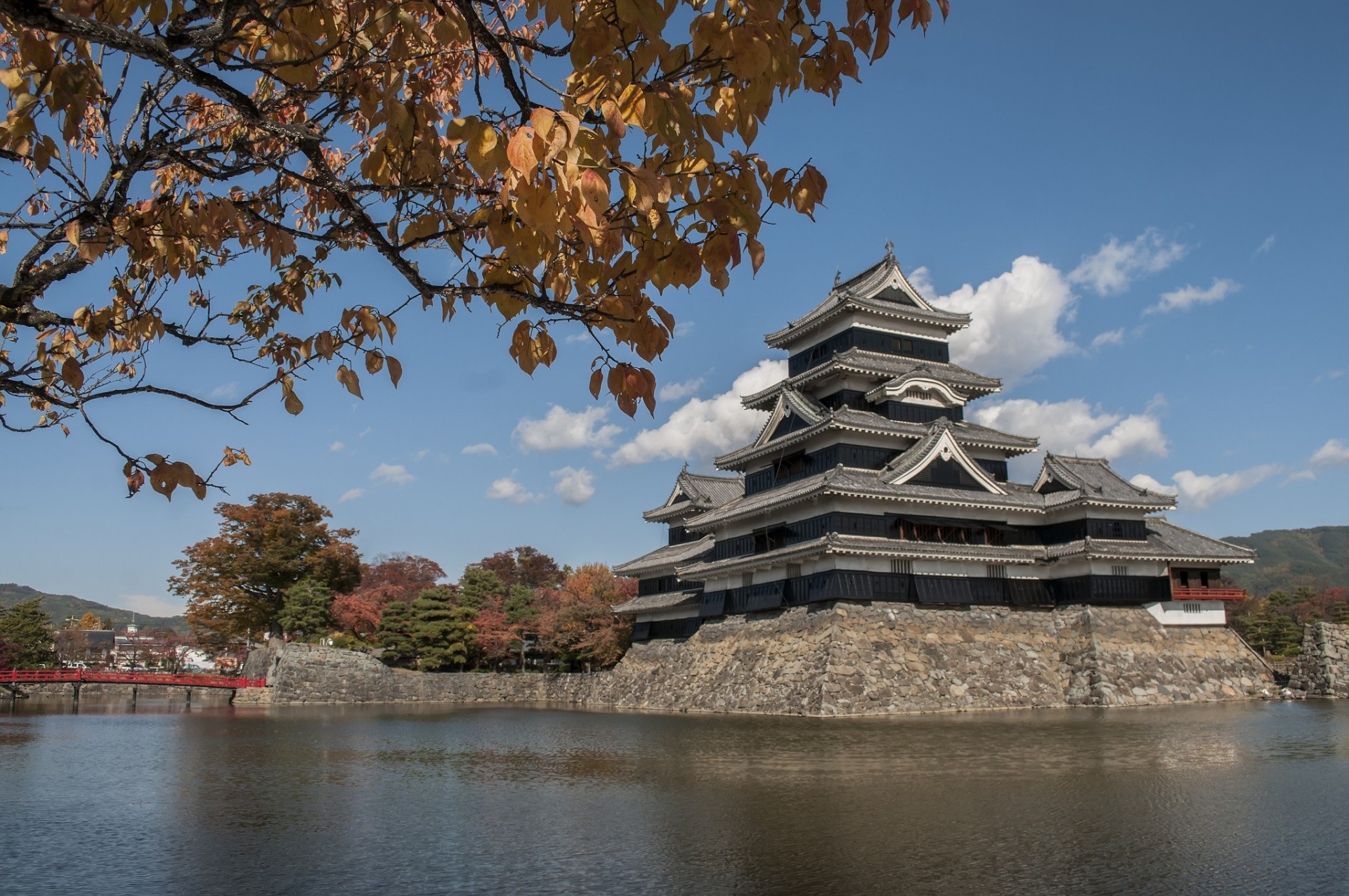 hoja cerradura cerradura de matsumoto tokio matsumoto agua ramas japón