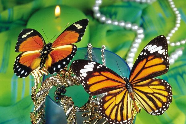 Las mariposas recogen perlas en un vaso