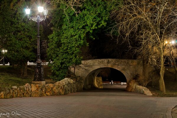 Beau pont à Sébastopol dans la nuit