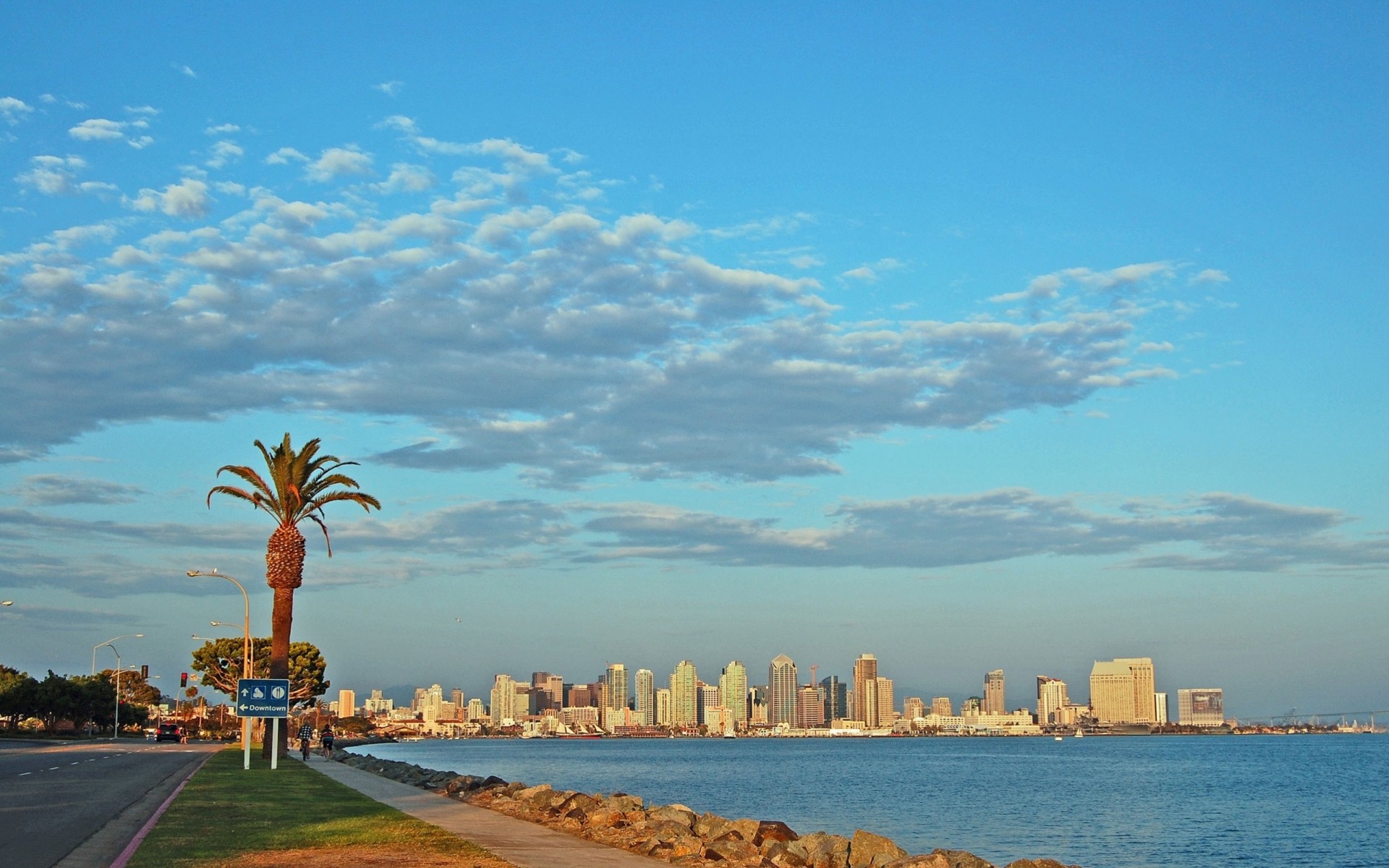 san diego palmeras rascacielos costa estados unidos california