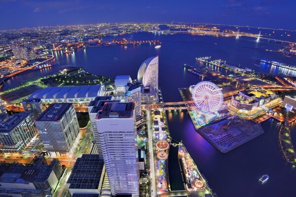 Paisaje panorámico de la noche de Tokio desde las alturas