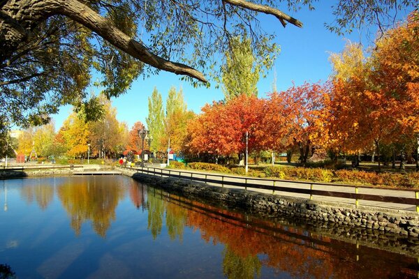 Herbstbäume spiegeln sich im Wasser wider