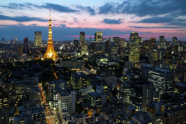 Paysage panoramique des lumières de Tokyo au coucher du soleil