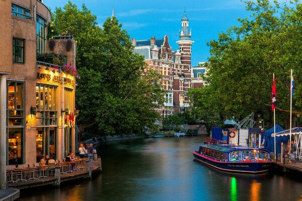 Cozy Amsterdam street in summer