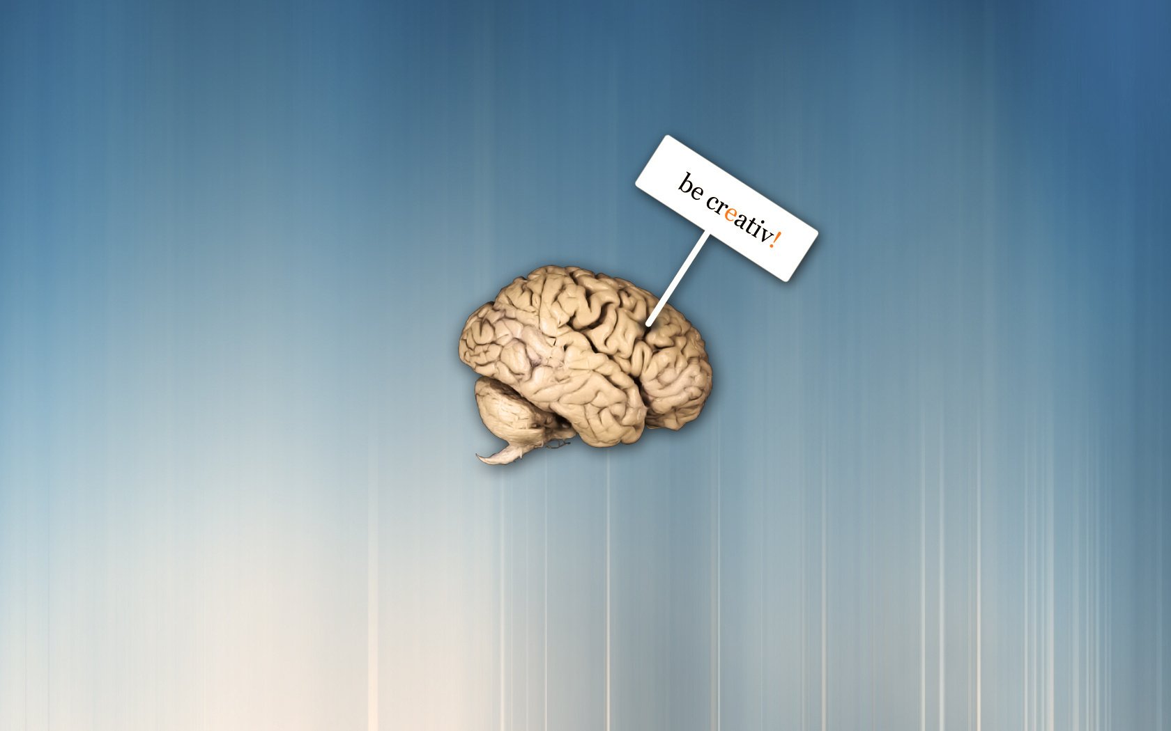 minimalismo letras inglesas azul cerebro placa creativo cerebros fondo signo palabras letras