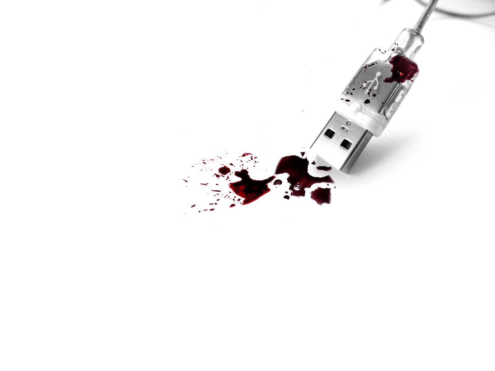 usb bianco sangue